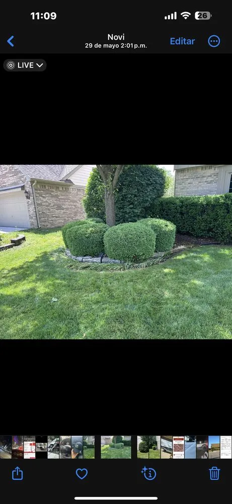 Custom yard cleanup service experts serving Lincoln Park, MI - PB Brandai Landscaping