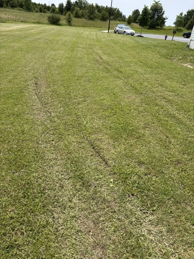 Affordable landscape design in Winchester, VA - P&B Hauling