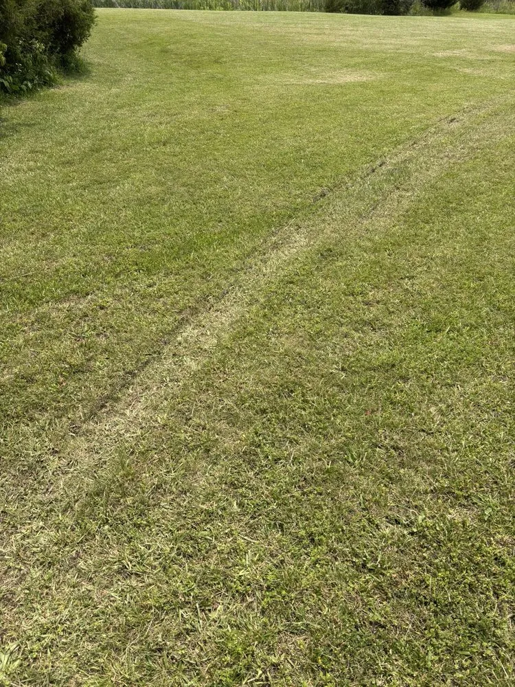 Top-rated lawn care service for beautiful yards in Winchester, VA by P&B Hauling