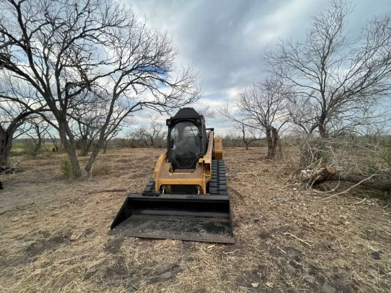 Reliable yard cleanup service for beautiful yards in Gardiner, NY by Pb landscape and design