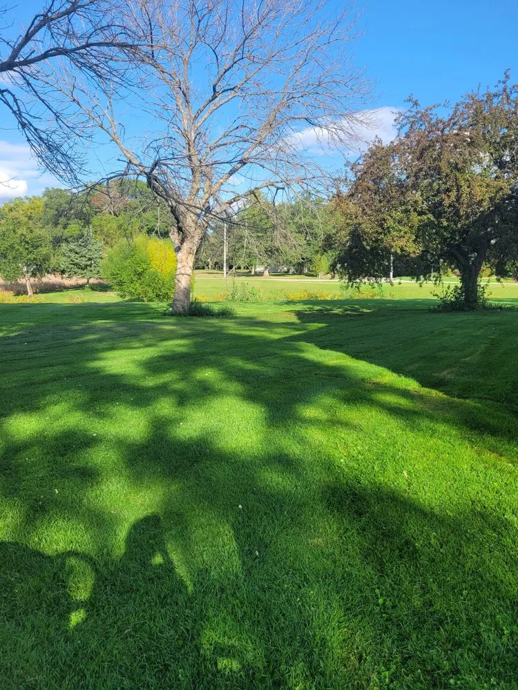 Expert yard cleanup service with custom design in Port Byron, IL by PB Lawncare