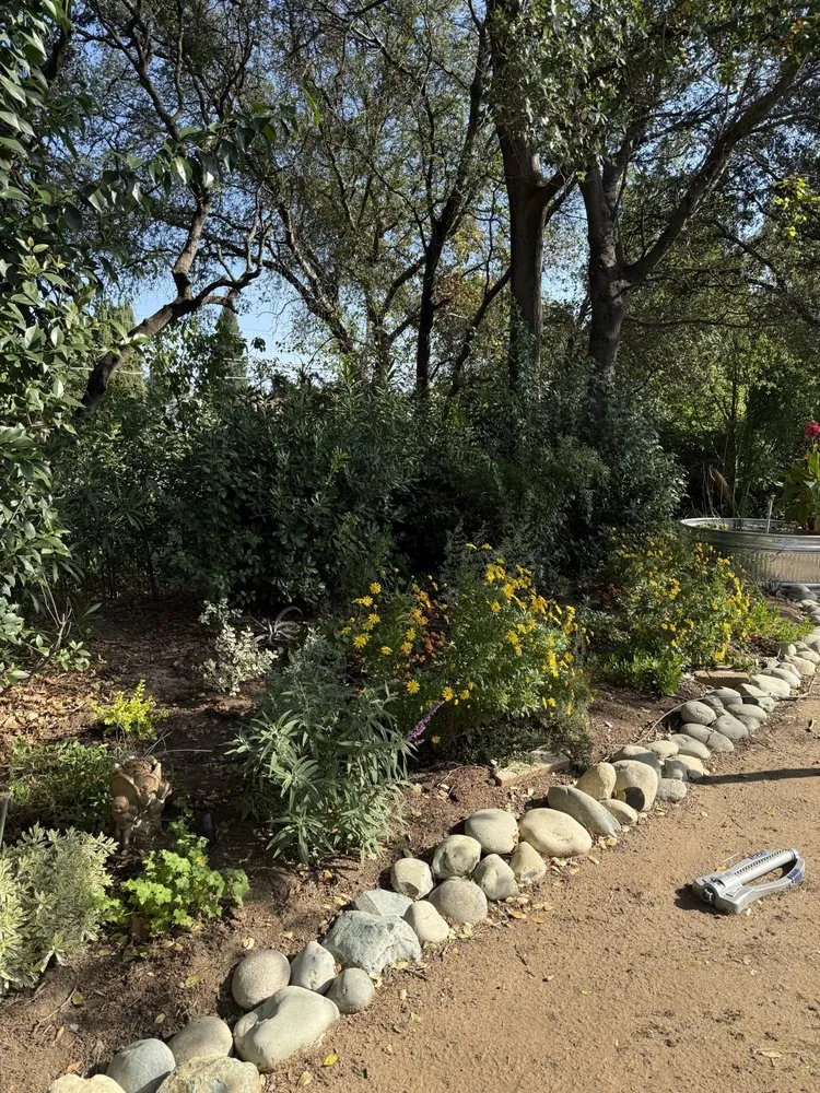 Affordable yard maintenance in Sacramento, CA by PB Plantae