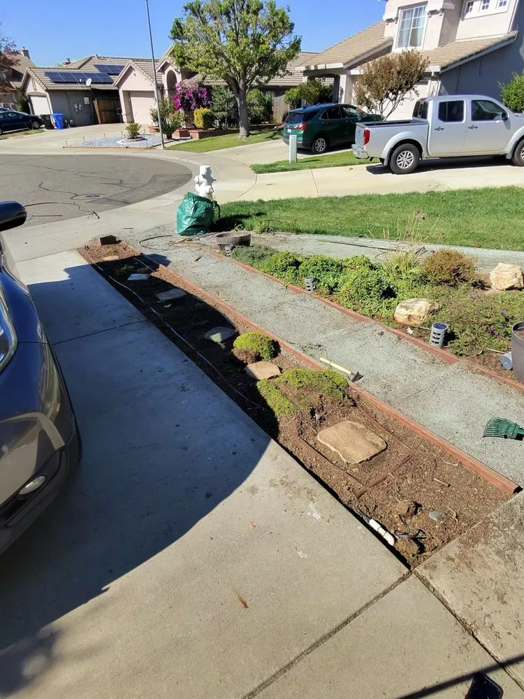 Local landscape design in Sacramento, CA - PB Plantae