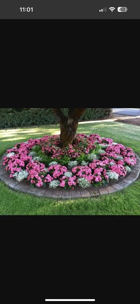 Reliable residential landscaping in Silo, OK - PB Yard Works