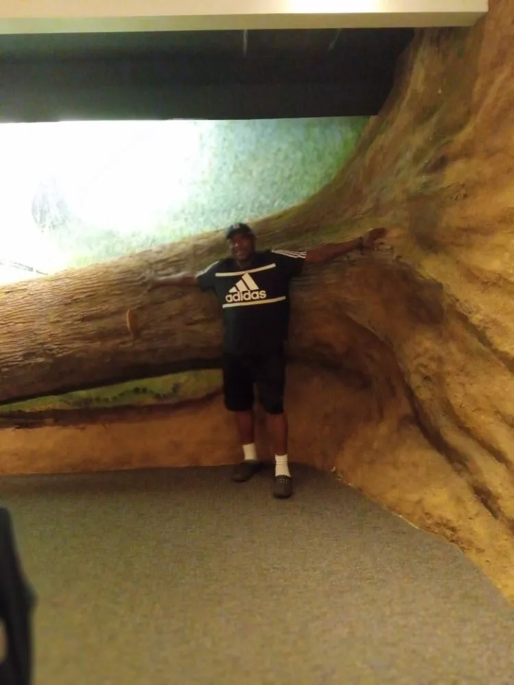 Reliable outdoor landscaping experts serving Columbia, SC - PBell Landscape and Junk Removal