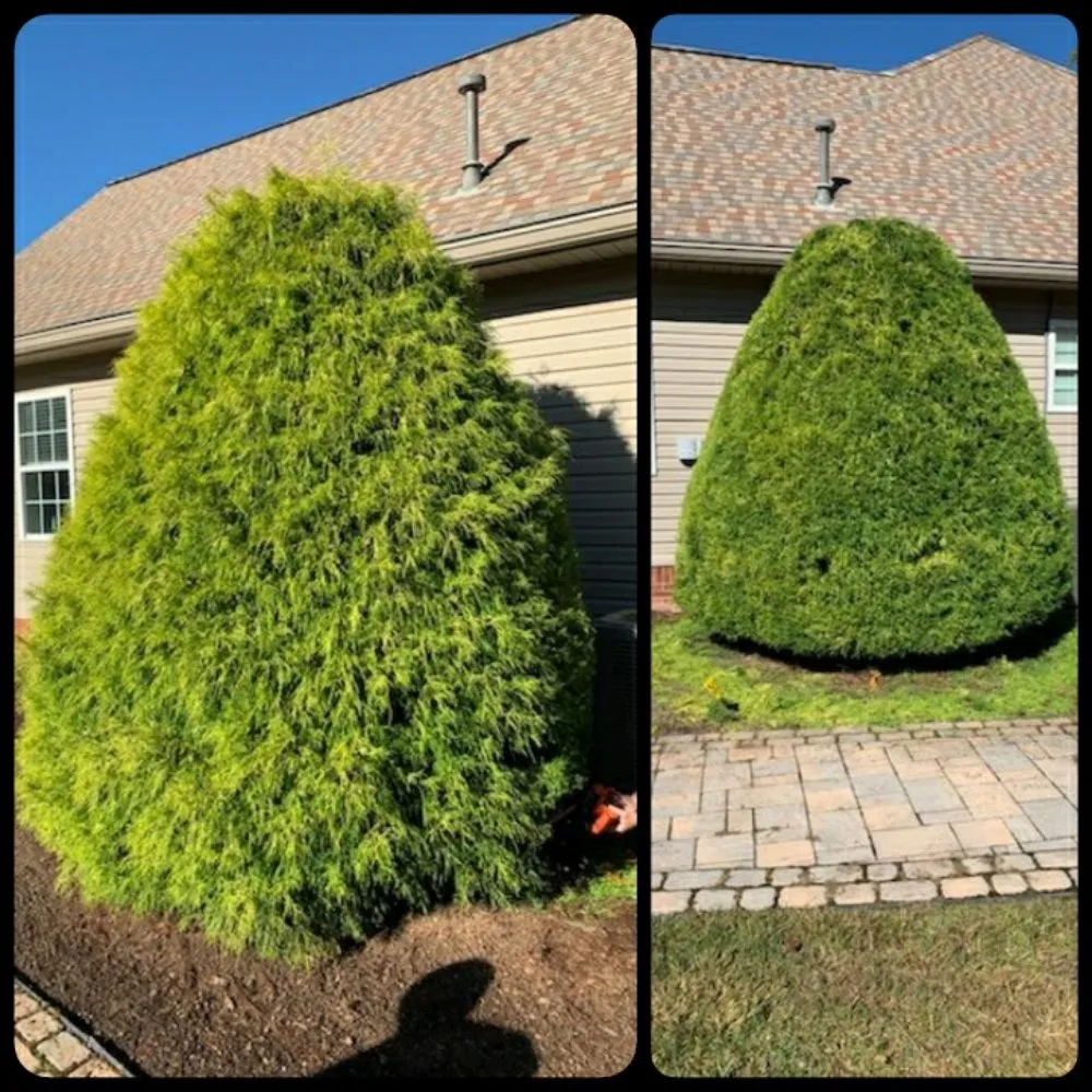 Reliable yard maintenance in Soddy-Daisy, TN by PBH Services