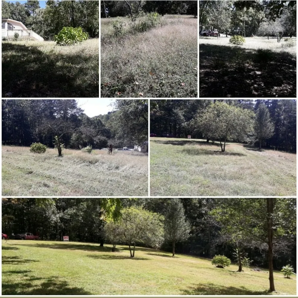 Reliable landscape design near you in Soddy-Daisy, TN by PBH Services