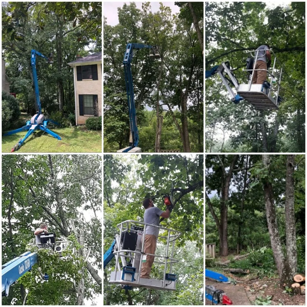 Local residential landscaping in Soddy-Daisy, TN by PBH Services