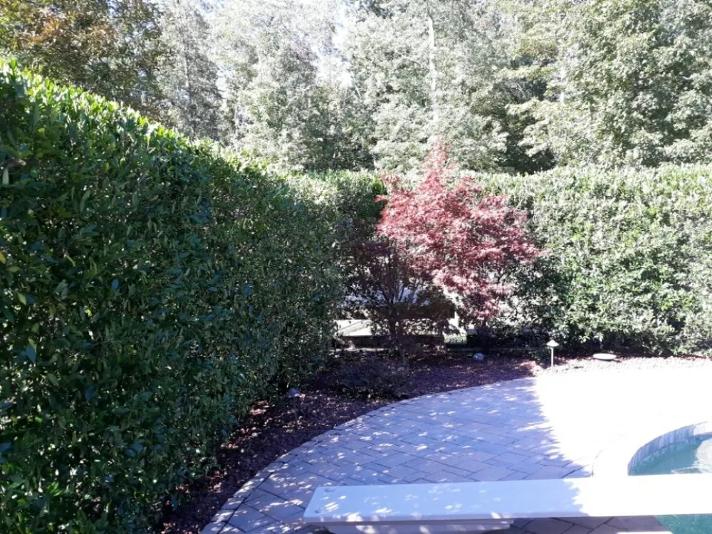 Top-rated landscaping services in Soddy-Daisy, TN by PBH Services