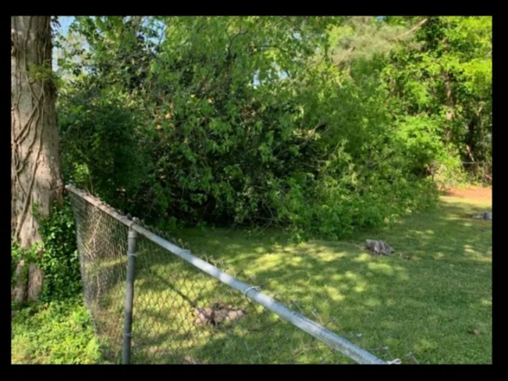 Affordable landscaping services in Soddy-Daisy, TN by PBH Services