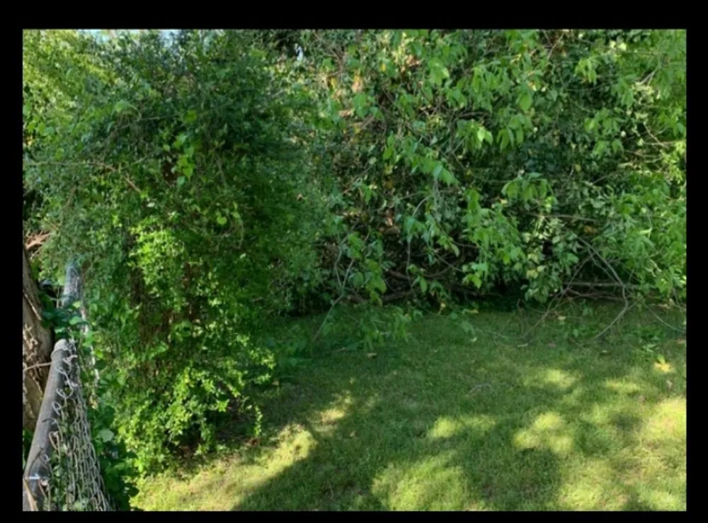Trusted lawn care service experts serving Soddy-Daisy, TN - PBH Services