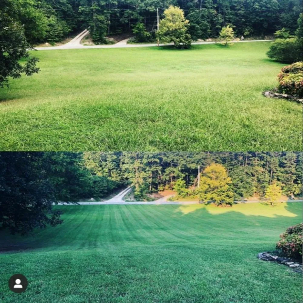 Local landscaping services for year-round maintenance in Soddy-Daisy, TN by PBH Services