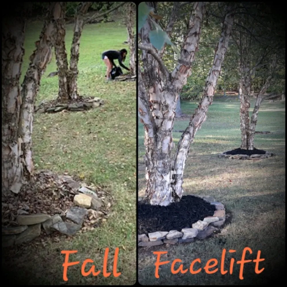 Trusted landscaping services with custom design in Soddy-Daisy, TN by PBH Services