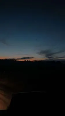 PBR landscaping and cleanup