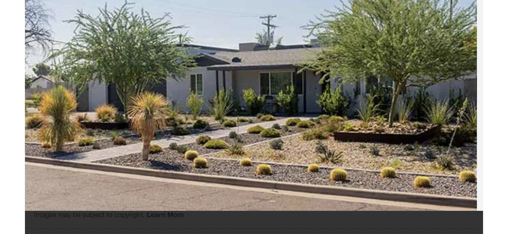 Reliable yard maintenance experts serving Oceanside, CA - PB's Greenthumb