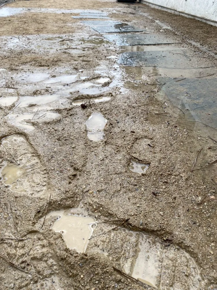 Reliable lawn mowing service near you in Oceanside, CA by PB's Greenthumb