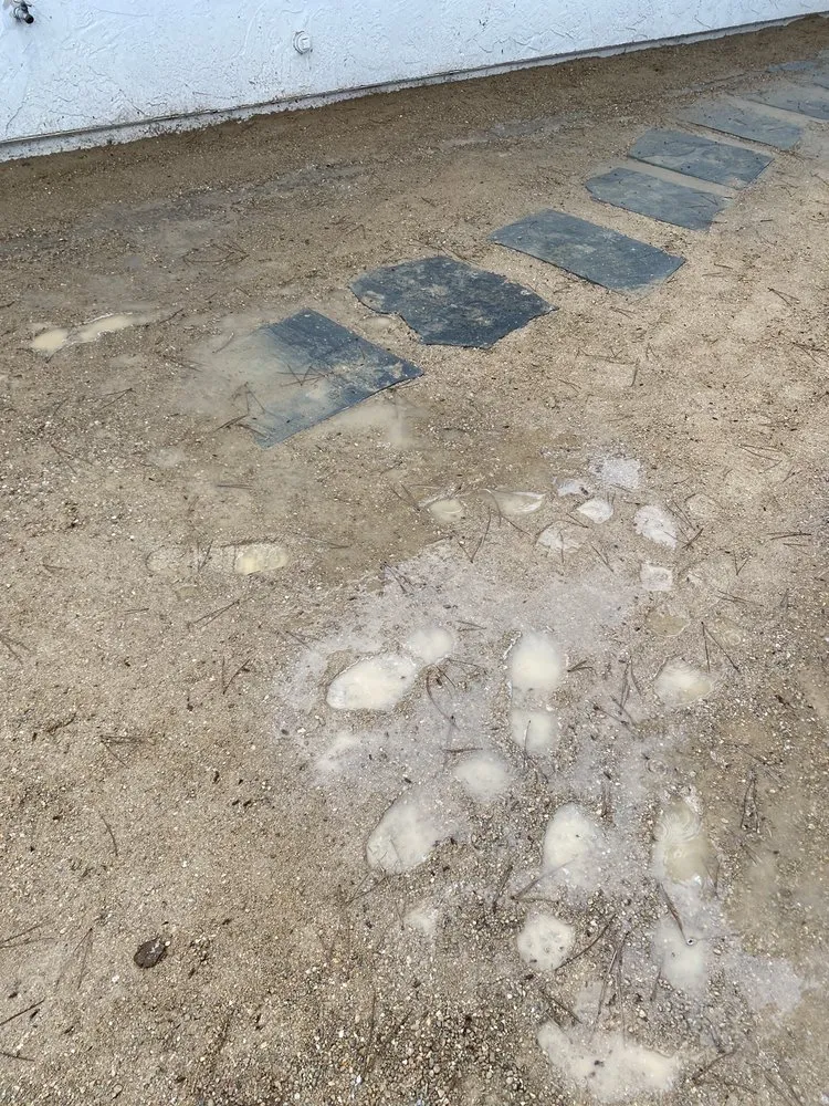 Custom landscaping services for residential properties across Oceanside, CA - PB's Greenthumb