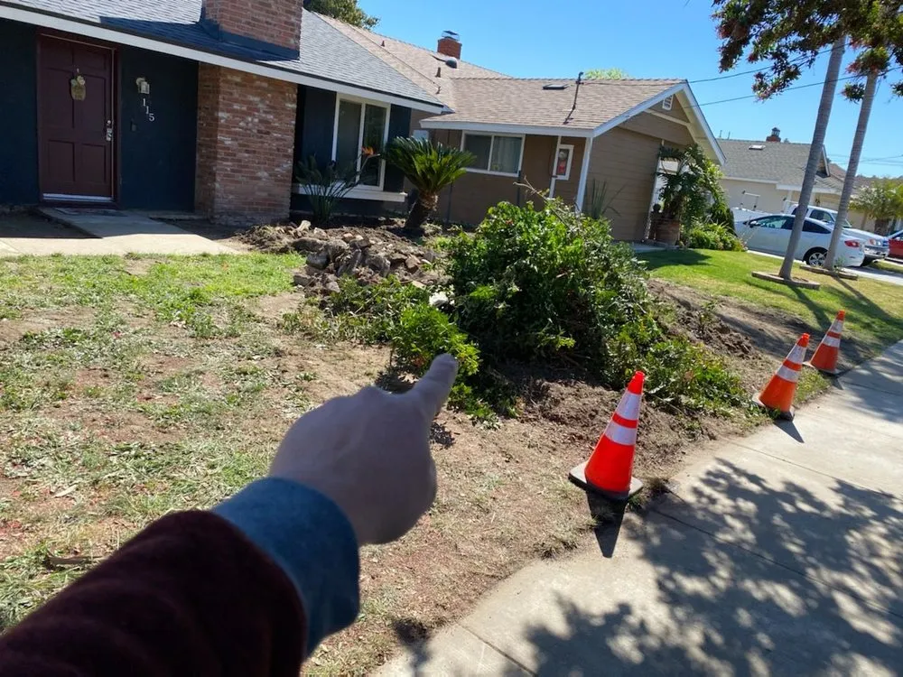 Affordable yard maintenance in Oceanside, CA by PB's Greenthumb