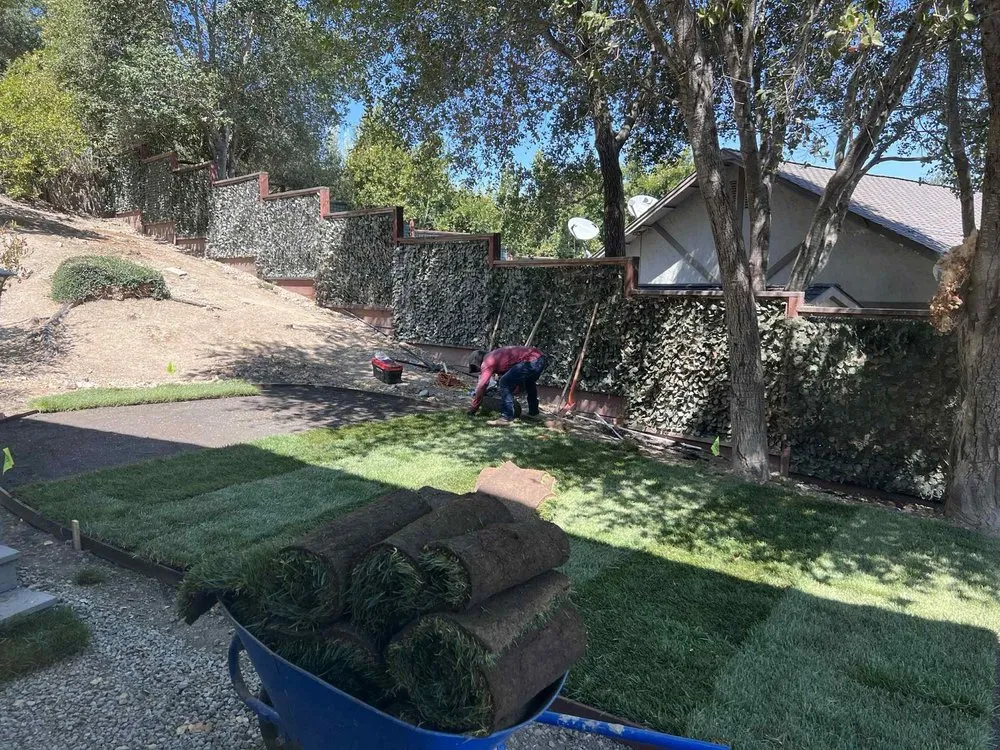 Affordable lawn care service experts serving Morgan Hill, CA - Pb's Lawn care