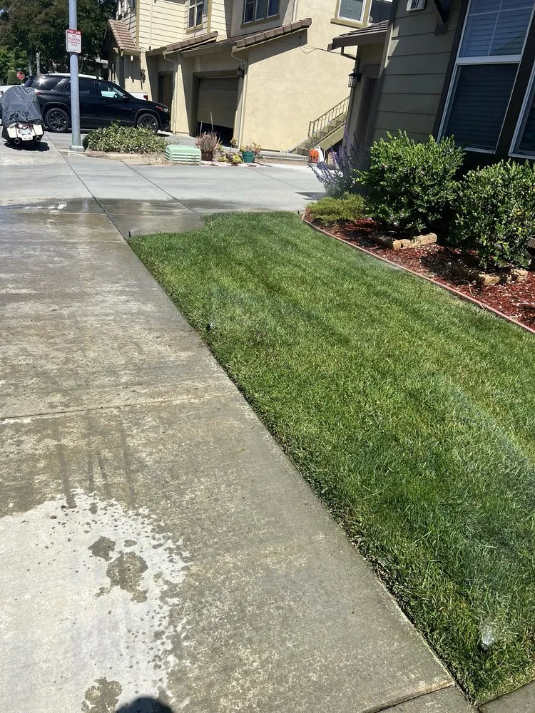 Expert outdoor landscaping in Morgan Hill, CA - Pb's Lawn care