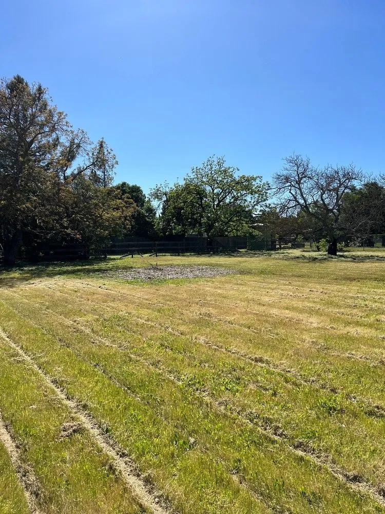 Local lawn mowing service in Morgan Hill, CA by Pb's Lawn care