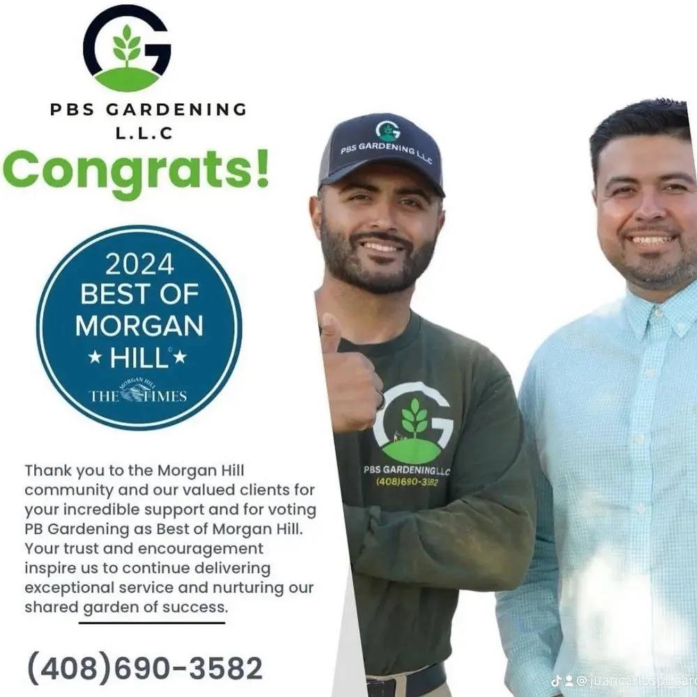 Affordable lawn care service in Morgan Hill, CA by Pb's Lawn care