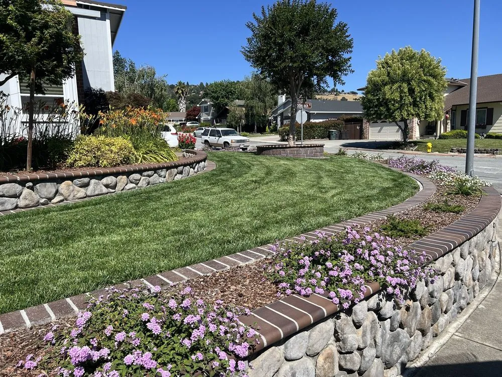 Expert lawn mowing service in Morgan Hill, CA - Pb's Lawn care