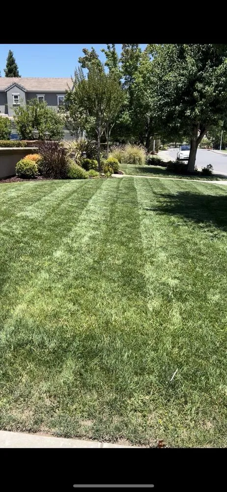 Top-rated landscape installation in Morgan Hill, CA by Pb's Lawn care