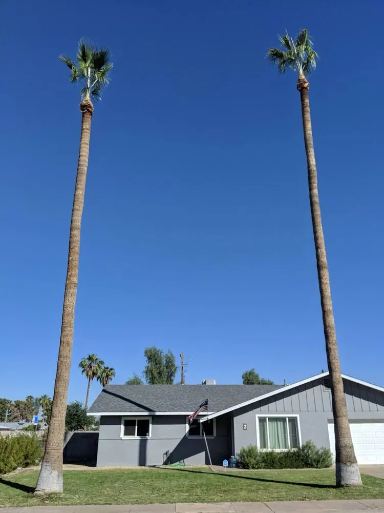 Affordable lawn mowing service for residential properties across Fountain Hills, AZ - PC Landscaping And Tree Removal Service