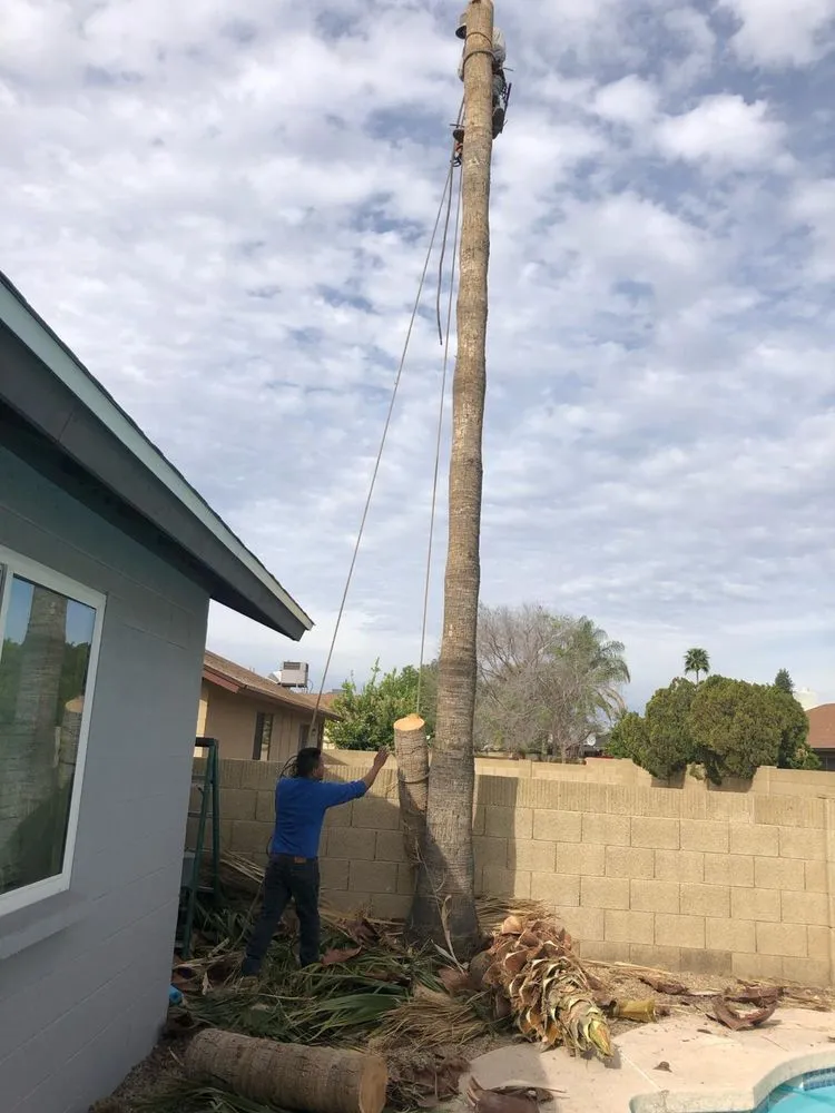 Local yard maintenance near you across Fountain Hills, AZ - PC Landscaping And Tree Removal Service