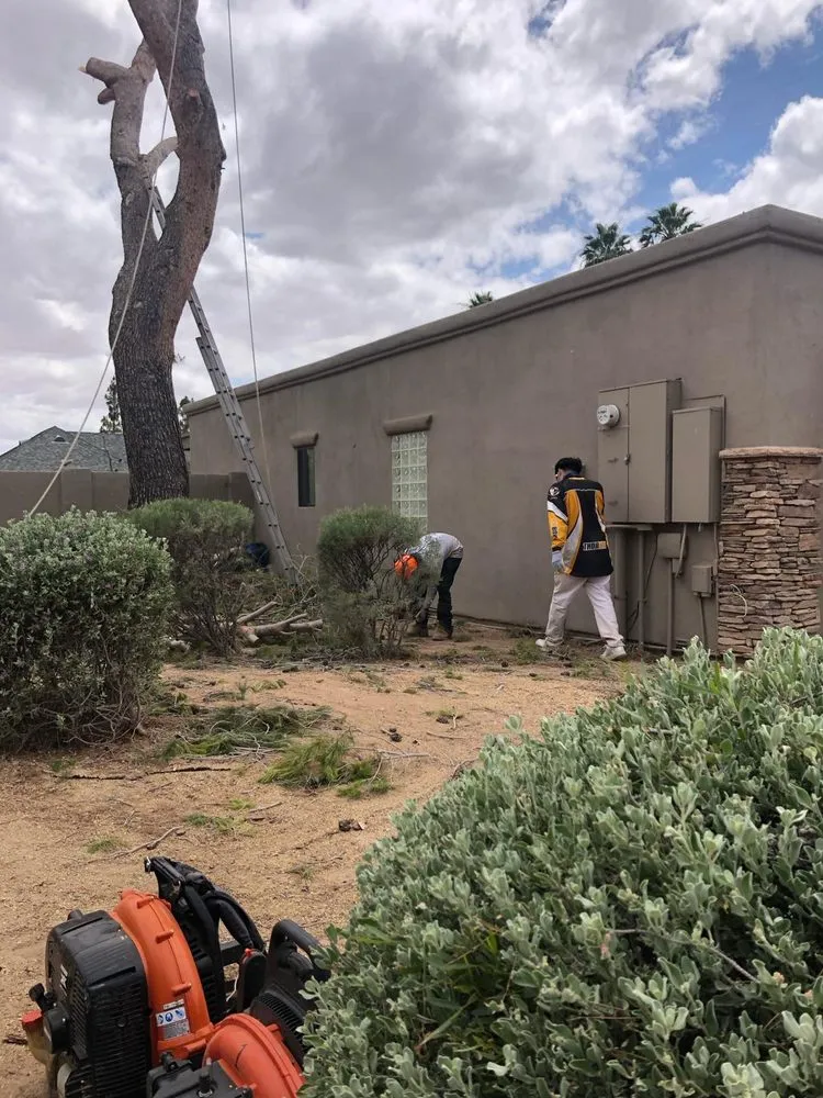 Custom lawn care service for beautiful yards in Fountain Hills, AZ by PC Landscaping And Tree Removal Service