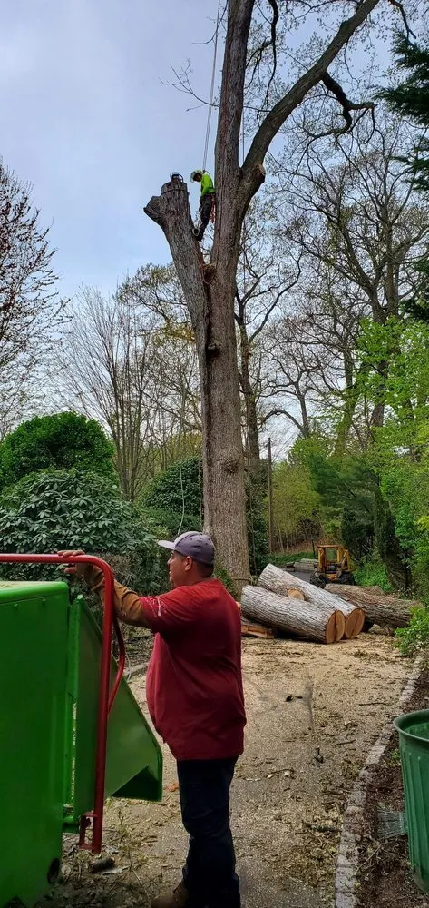 Affordable landscape installation for outdoor upgrades across Huntington Station, NY - P&C Landscaping