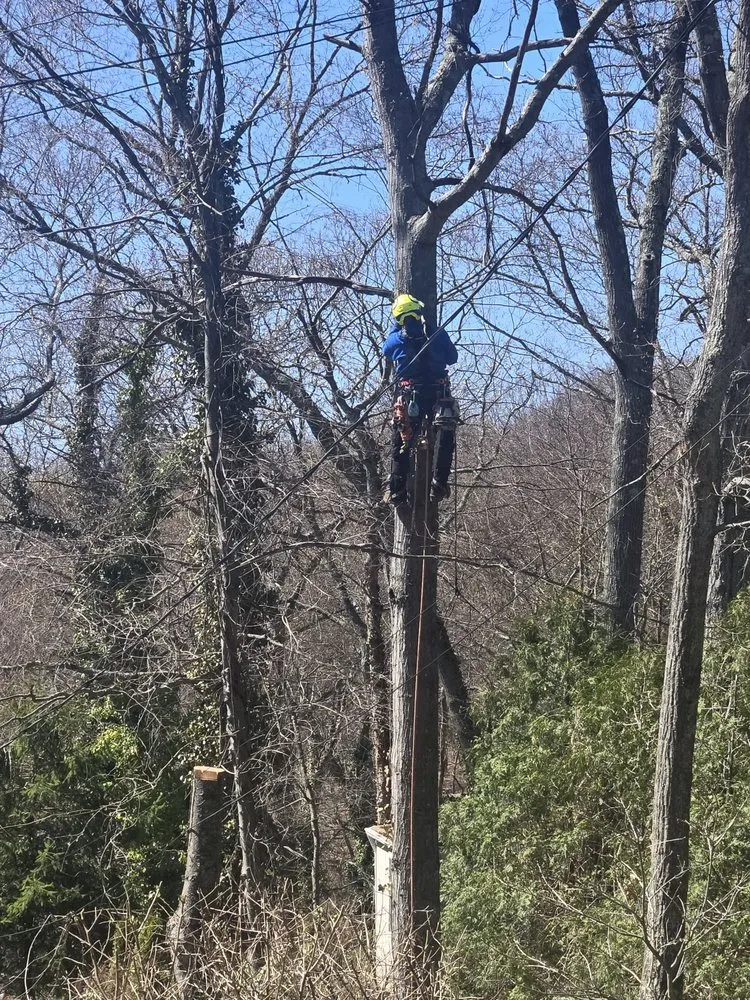 Local landscape design in Huntington Station, NY - P&C Landscaping