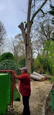 P&C Landscaping Logo