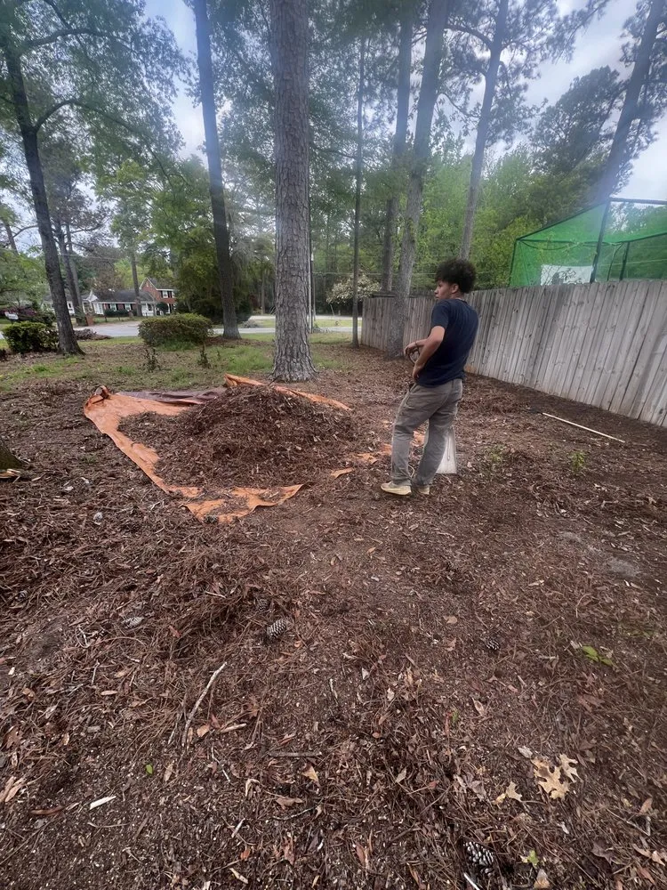 Trusted garden landscaping experts serving North Augusta, SC - Pc Landscaping