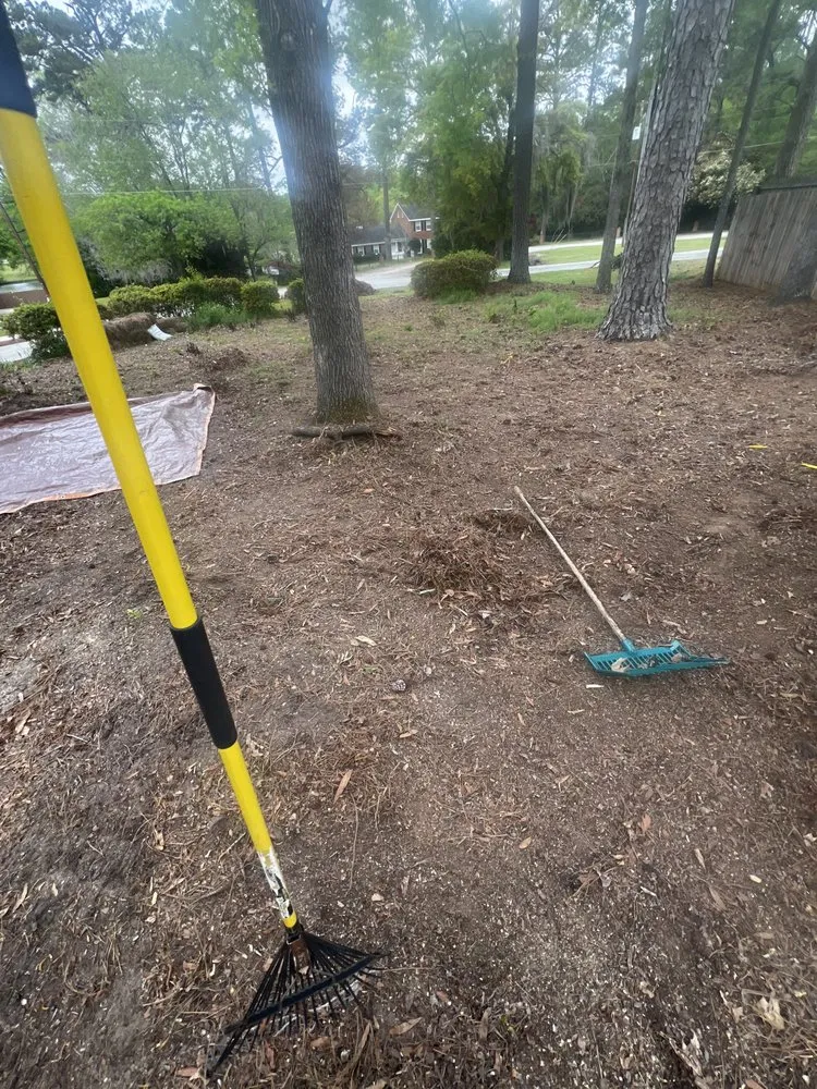 Affordable outdoor landscaping experts serving North Augusta, SC - Pc Landscaping