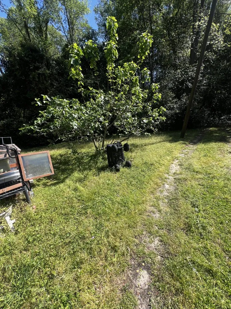 Local garden landscaping in North Augusta, SC by Pc Landscaping