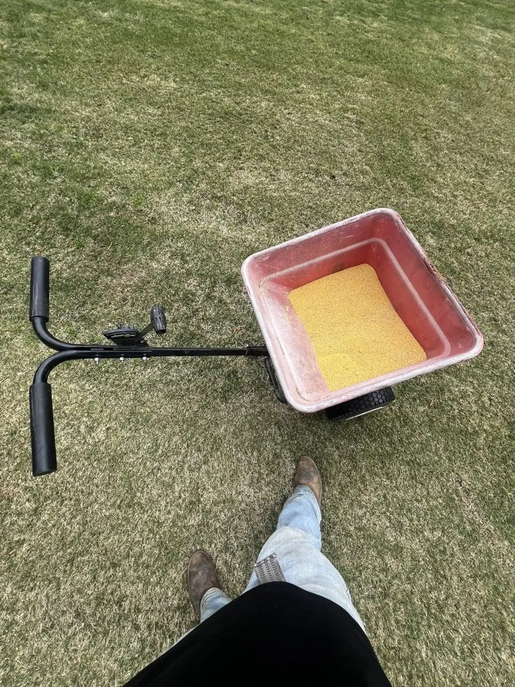 Trusted landscaping services experts serving North Augusta, SC - Pc Landscaping