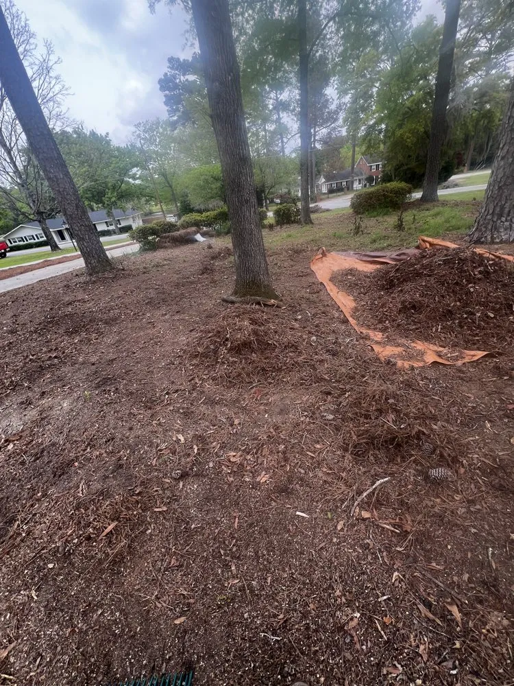 Professional landscape installation for homes in North Augusta, SC by Pc Landscaping