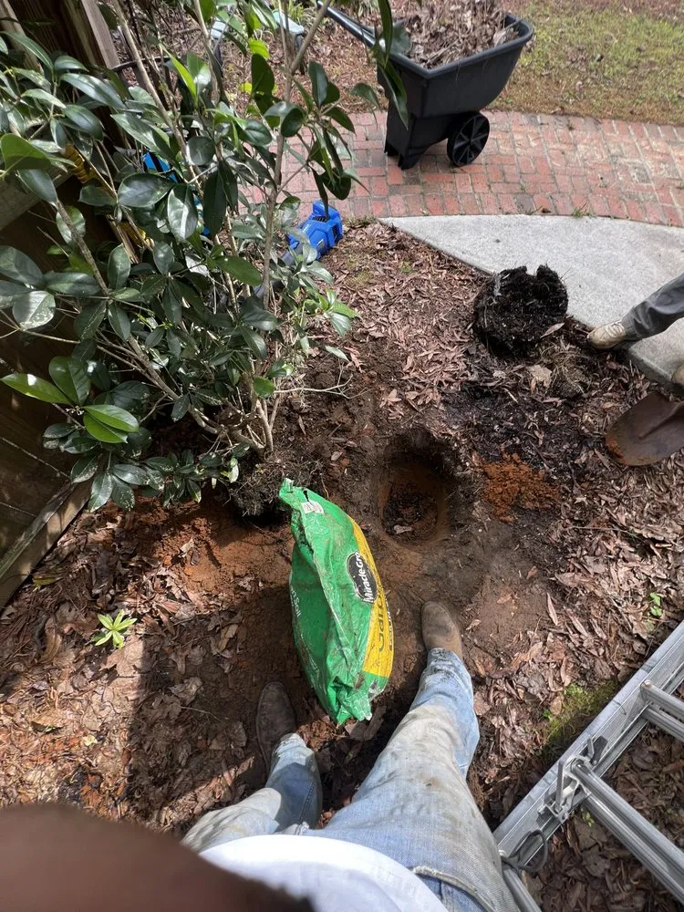 Trusted residential landscaping for outdoor upgrades across North Augusta, SC - Pc Landscaping