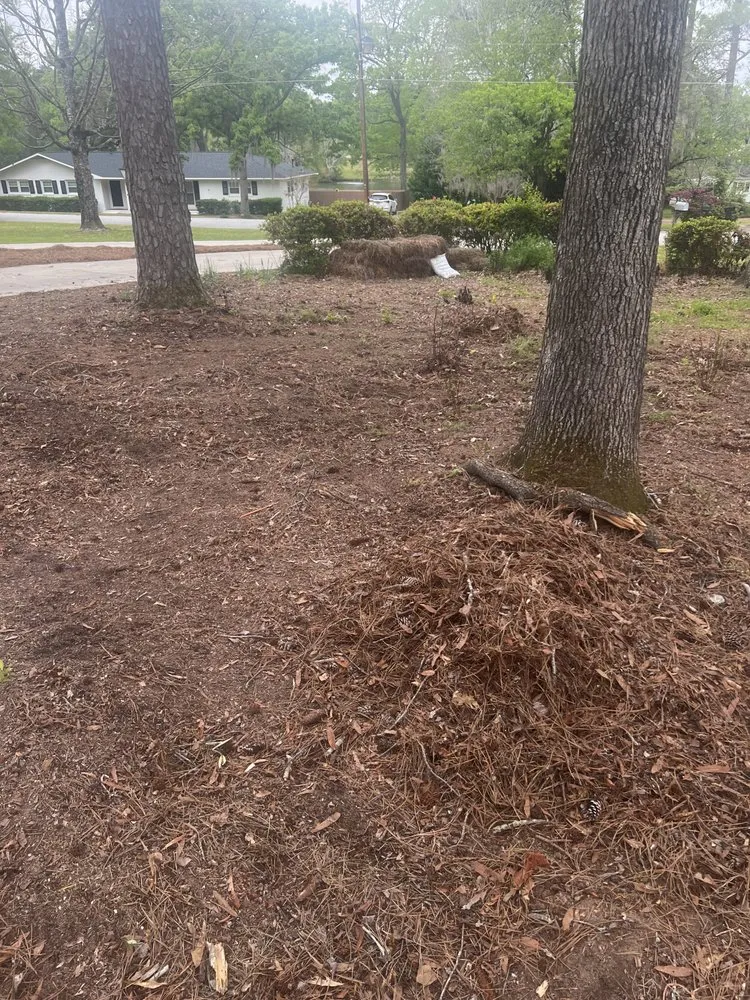 Custom lawn mowing service in North Augusta, SC by Pc Landscaping