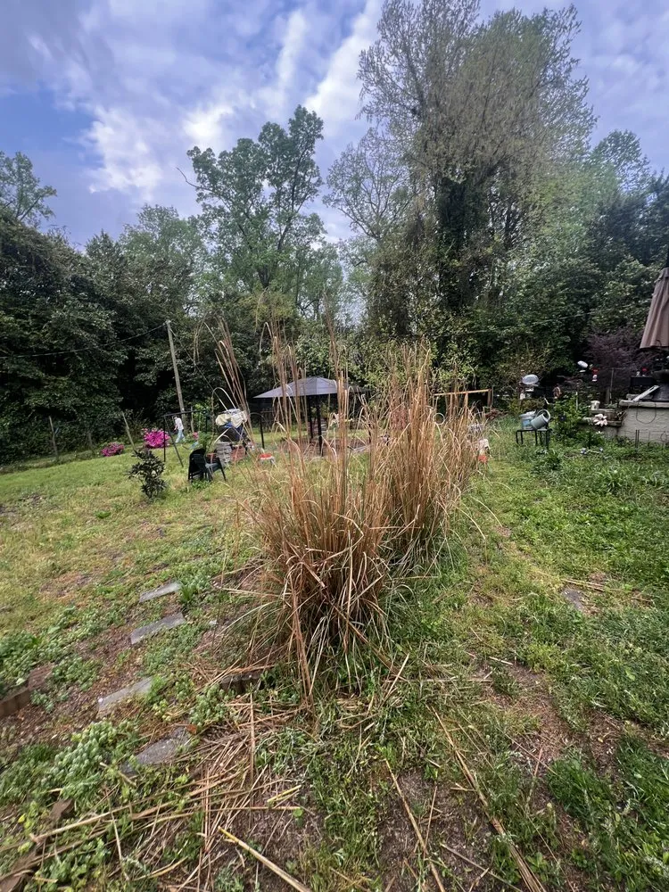 Trusted landscape design for year-round maintenance in North Augusta, SC by Pc Landscaping