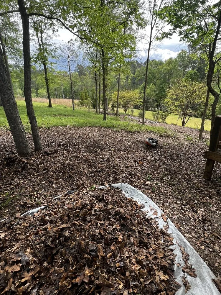 Affordable garden landscaping for homes across North Augusta, SC - Pc Landscaping