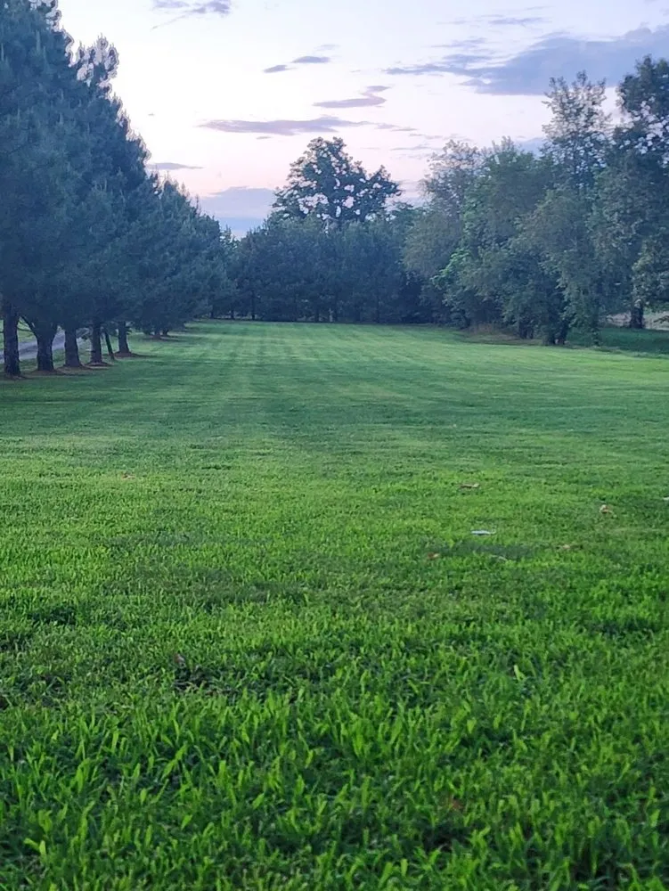 Top-rated lawn care service experts serving Clarksville, AR - P&C Lawn Care