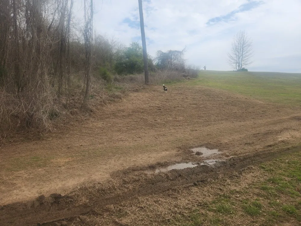 Professional landscaping services in Clarksville, AR by P&C Lawn Care