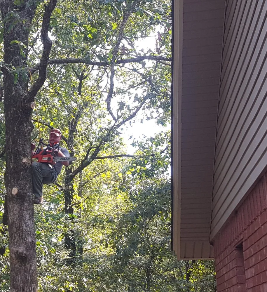 Expert landscaping services in Clarksville, AR by P&C Lawn Care