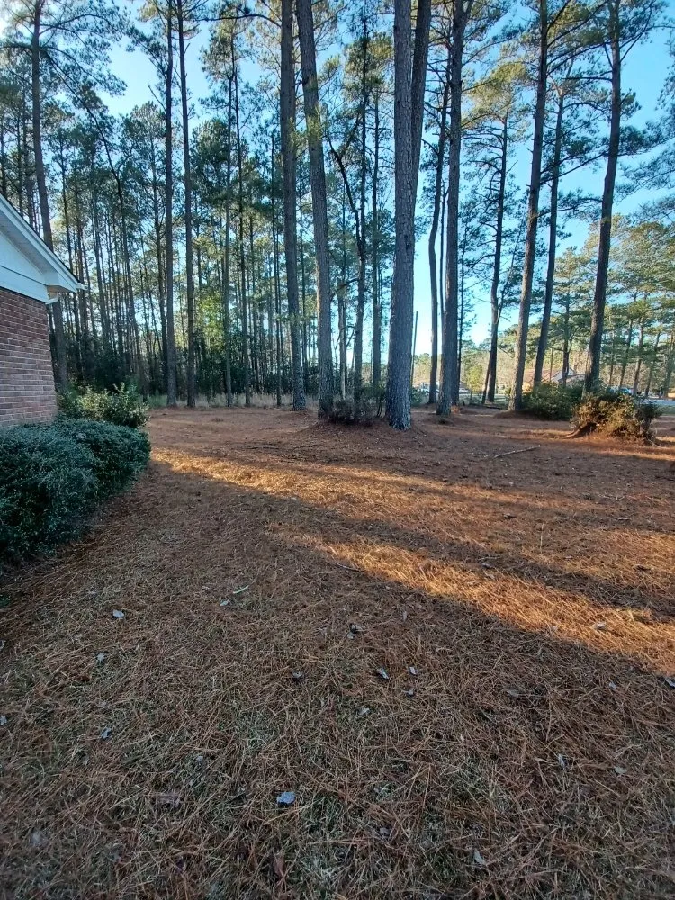 Expert landscape installation with custom design across NC, NC - Pc Lawn Care