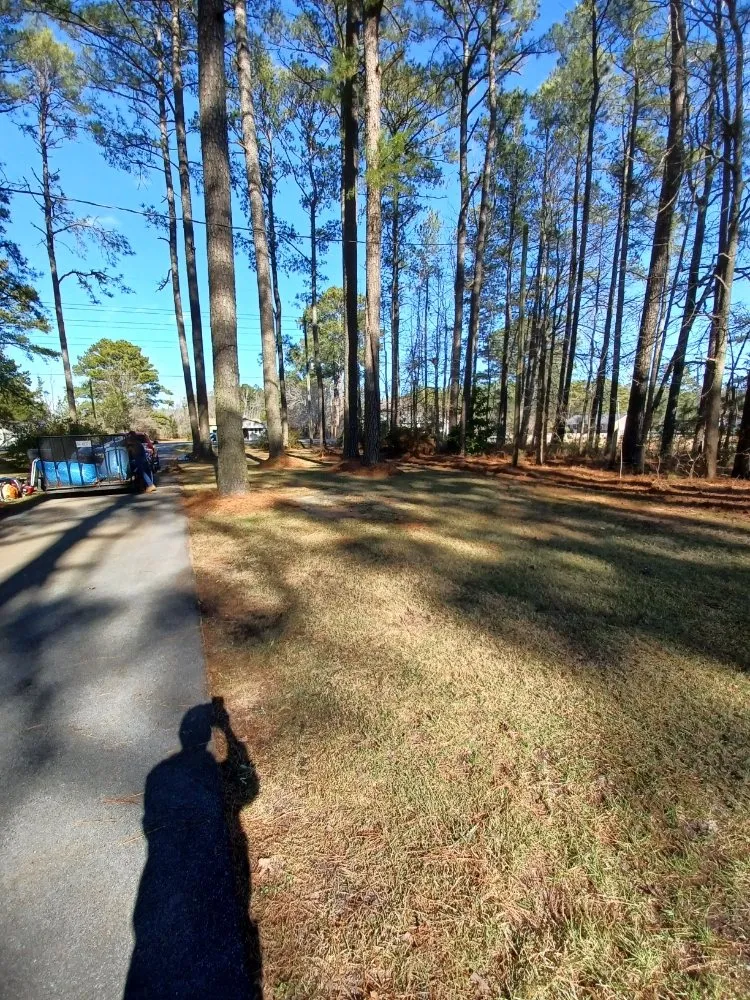 Reliable yard maintenance for year-round maintenance in NC, NC by Pc Lawn Care
