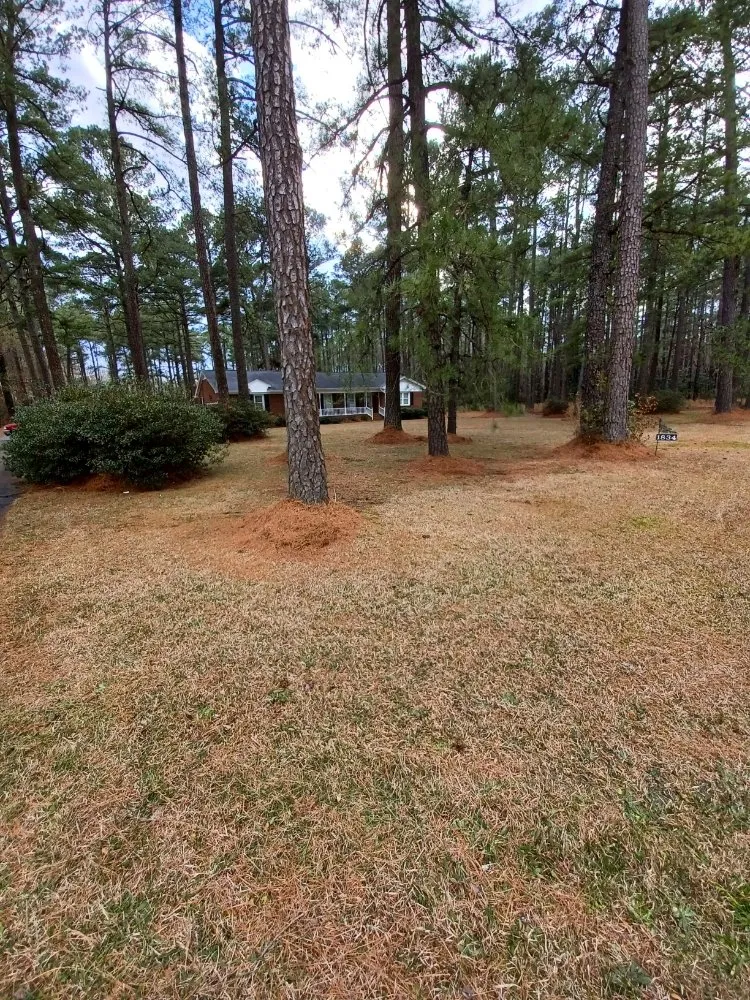 Trusted landscape installation in NC, NC by Pc Lawn Care