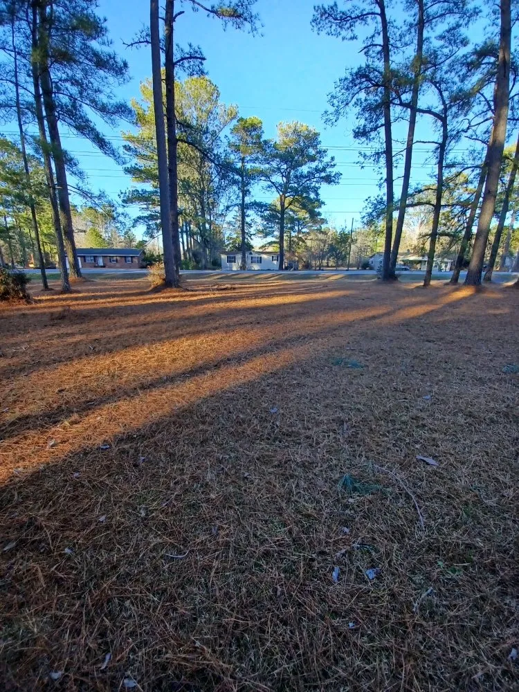 Trusted outdoor landscaping experts serving NC, NC - Pc Lawn Care